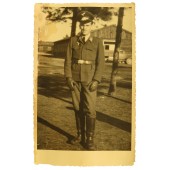 Portrait of Luftwaffe soldier in strange tunic and visor hat without Sturmband